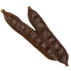 Keçiboynuzu
