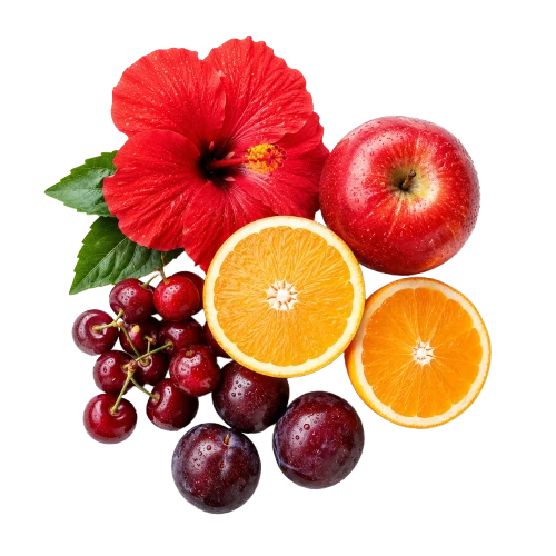 Hibiskus ve meyve çeşitleri